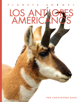 Los antílopes americanos (Spanish Edition)