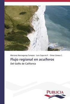 Paperback Flujo regional en acuíferos [Spanish] Book