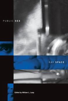 Paperback Public Sex/Gay Space Book