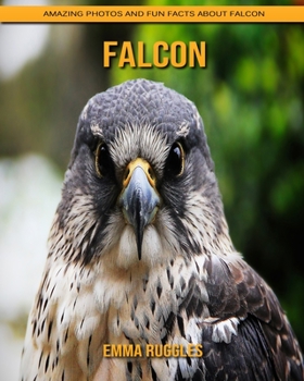 Falcon: Amazing Photos and Fun Facts about Falcon