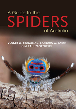 Paperback A Guide to Spiders of Australia Book