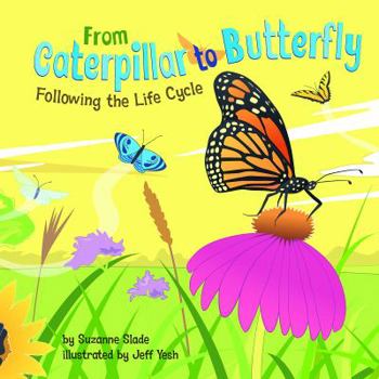 Hardcover From Caterpillar to Butterfly: Following the Life Cycle Book