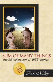 Paperback Sum of Many Things Book