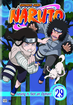 DVD Naruto Volume 29 Book