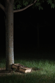 I Never Desired to Become an Author: How I wrote One Hundred Novels