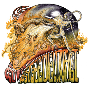 Vinyl Psychedelonaut Book