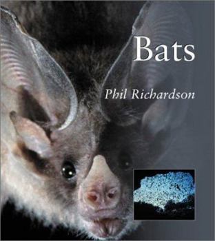 Paperback Bats PB Book