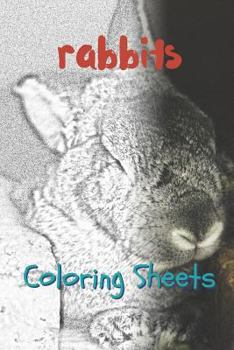 Rabbit Coloring Sheets: 30 rabbit drawings,coloring sheets adults relaxation, coloring book for kids, for girls, volume 1