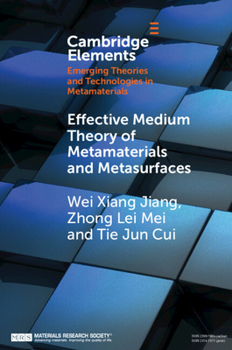 Paperback Effective Medium Theory of Metamaterials and Metasurfaces Book