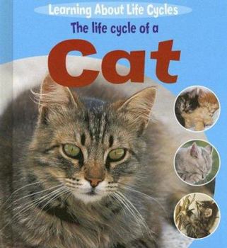 Library Binding The Life Cycle of a Cat Book