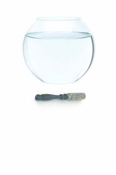 Paperback Invisible Fish Book