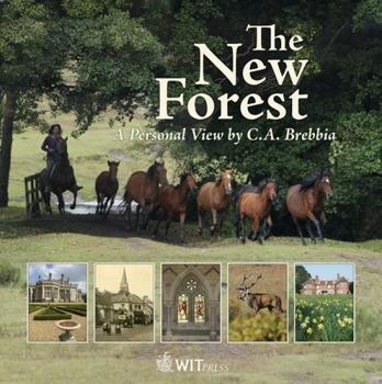 The New Forest: A Personal View