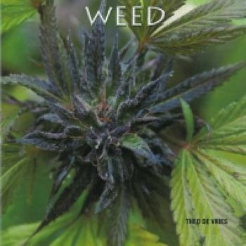 Paperback weed [Spanish] Book