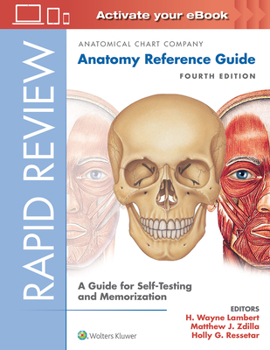 Spiral-bound Rapid Review: Anatomy Reference Guide: A Guide for Self-Testing and Memorization Book