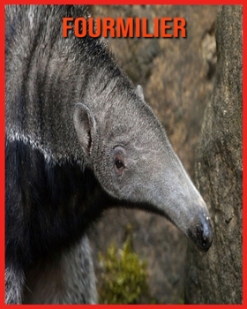 Paperback Fourmilier: Informations Int?ressantes Concernant les Fourmilier [French] Book