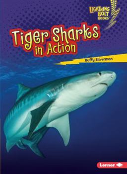 Tiger Sharks in Action - Book  of the Shark World