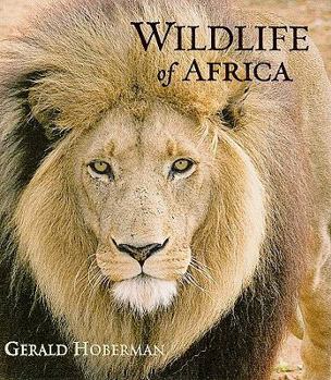 Hardcover Wildlife of Africa Book