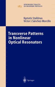 Paperback Transverse Patterns in Nonlinear Optical Resonators Book