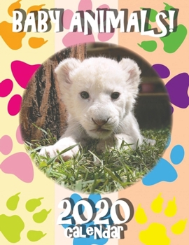 Paperback Baby Animals! 2020 Calendar Book