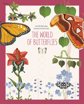 Hardcover The World of Butterflies Book