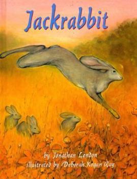 Hardcover Jackrabbit Book