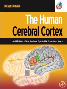 Hardcover The Human Cerebral Cortex: An MRI Atlas of the Sulci and Gyri in MNI Stereotaxic Space Book