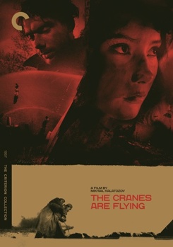 DVD The Cranes Are Flying Book