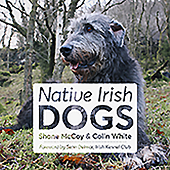 Hardcover Native Irish Dogs Book
