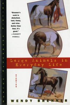 Paperback Large Animals in Everyday Life Book