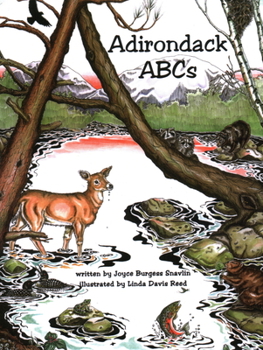 Paperback Adirondack ABCs Book