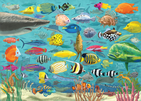 Misc. All the Fish 1000 Piece Jigsaw Puzzle Book