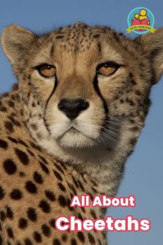 Paperback All About Cheetahs (Read Together) Book