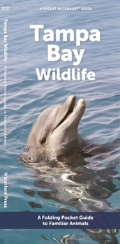 Paperback Tampa Bay Wildlife: A Folding Pocket Guide to Familiar Animals Book