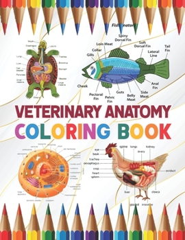 Paperback Veterinary Anatomy Coloring Book: Learn the Anatomy and Enhance Your Practice. Pages with Awesome, Stress Relieving Designs. Animal Anatomy and Veteri Book