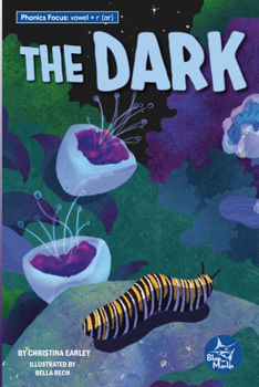 Paperback The Dark Book
