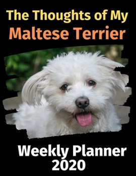 Paperback The Thoughts of My Maltese Terrier: Weekly Planner 2020 Book