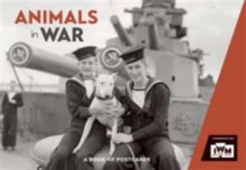 Paperback Animals in War Book of Postcards Book