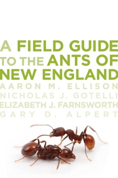Paperback A Field Guide to the Ants of New England Book