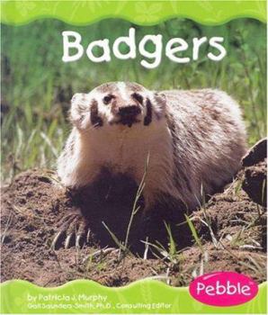 Library Binding Badgers Book