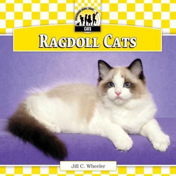Ragdoll Cats - Book  of the Cats