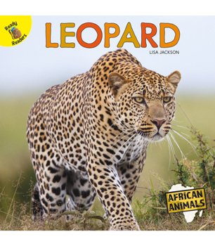 Paperback Leopard Book