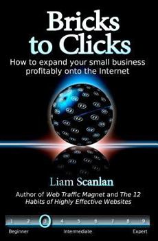 Paperback Bricks to Clicks: How to expand your small business profitably onto the Internet Book