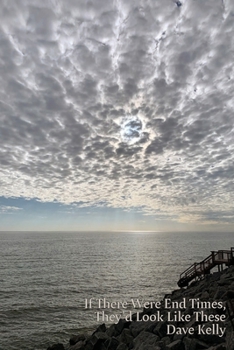 Paperback If There Were End Times, They'd Look Like These Book