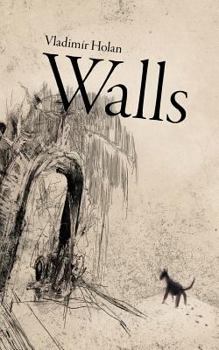 Paperback Walls Book