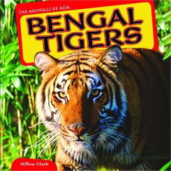 Library Binding Bengal Tigers Book