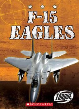 Library Binding F-15 Eagles Book