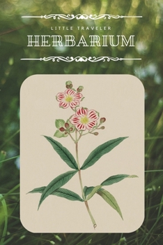 Little Traveler Herbarium: Empty Sketch Pages Journal / Notebook botanical collection - 6x9 inches (~DIN 5), 100 Pages