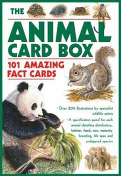 Cards The Animal Card Box Book