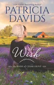 Mass Market Paperback The Wish: A Clean & Wholesome Romance Book