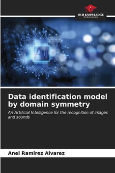 Paperback Data identification model by domain symmetry Book